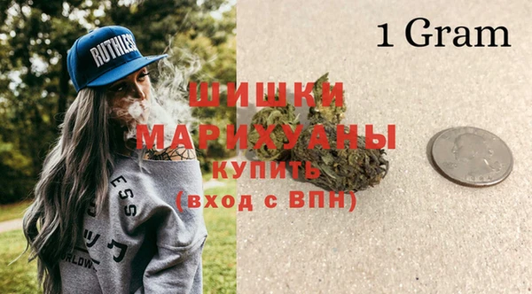дживик Абаза