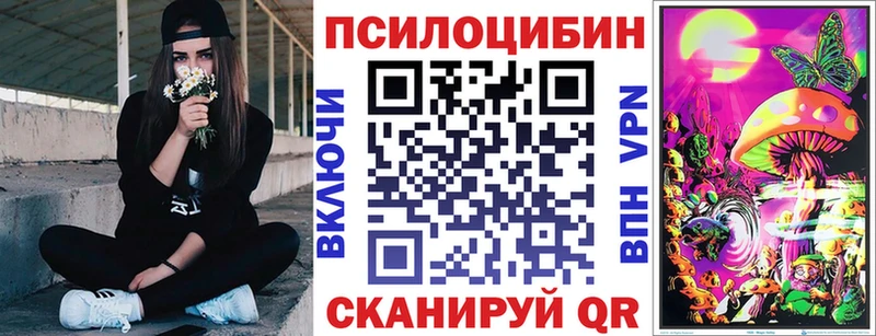 blacksprut ссылки  даркнет телеграм  Галлюциногенные грибы Cubensis  Жердевка 